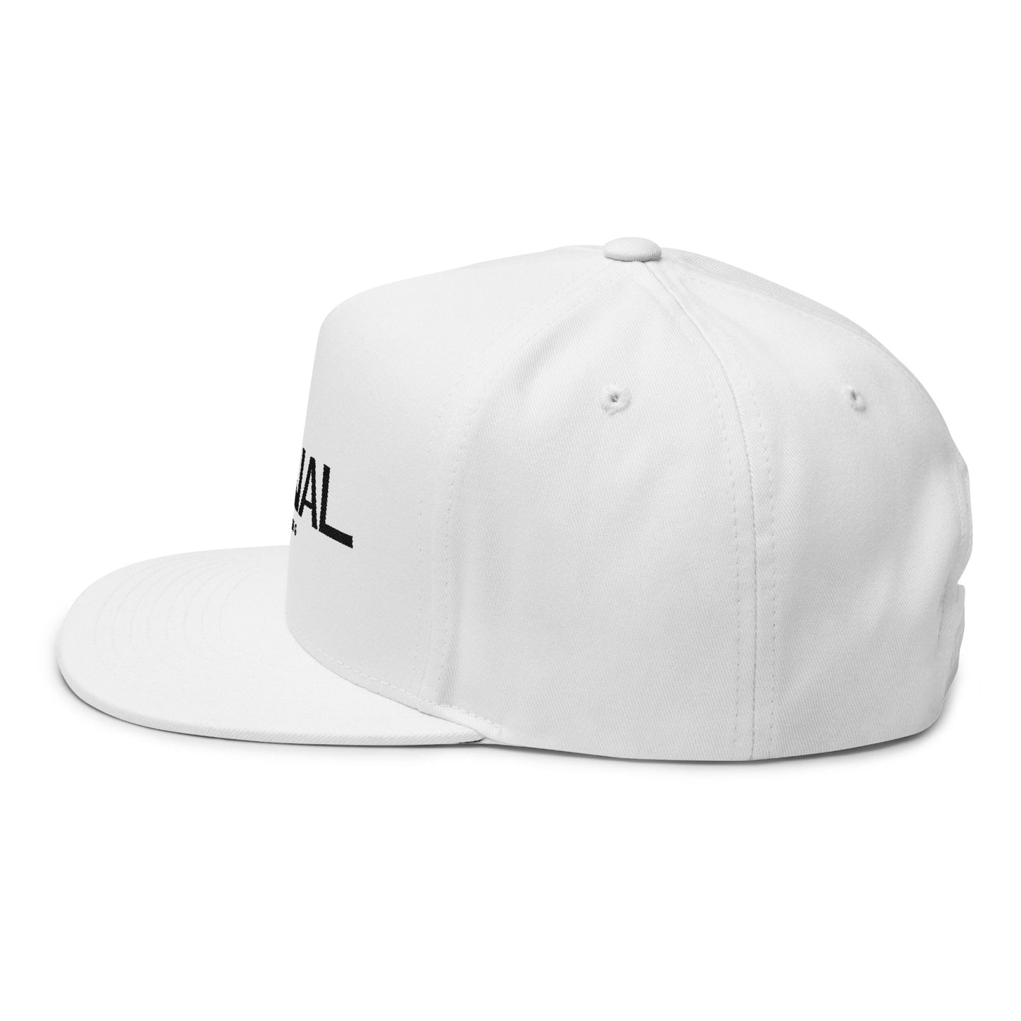 Siminal -  embroidered logo Snapback Hat